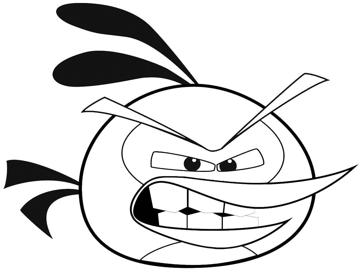 Название: Раскраска Злая птичка. Категория: angry birds. Теги: птички, птицы, игры.