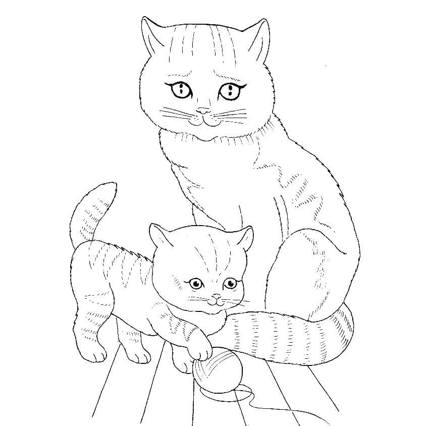Раскраска Кошка и котенок с клубком ниток Скачать ,кошка, котенок, клубок,.  Распечатать 