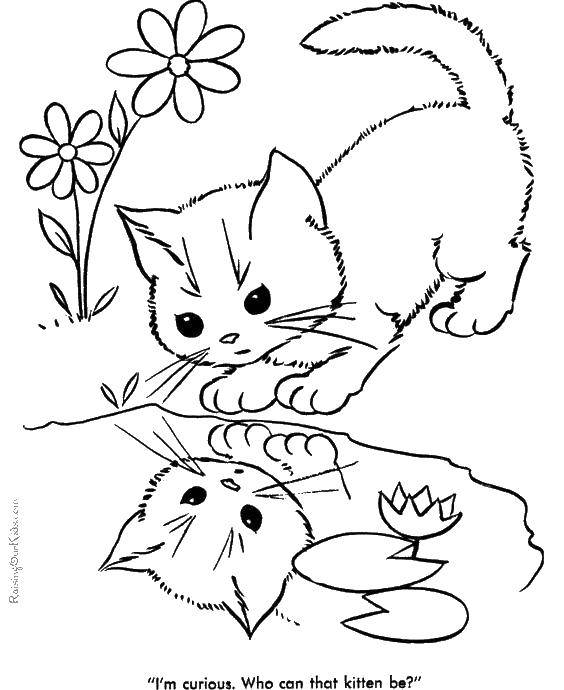 Раскраска Котенок у лужи Скачать ,котята, кошки, животные,.  Распечатать 