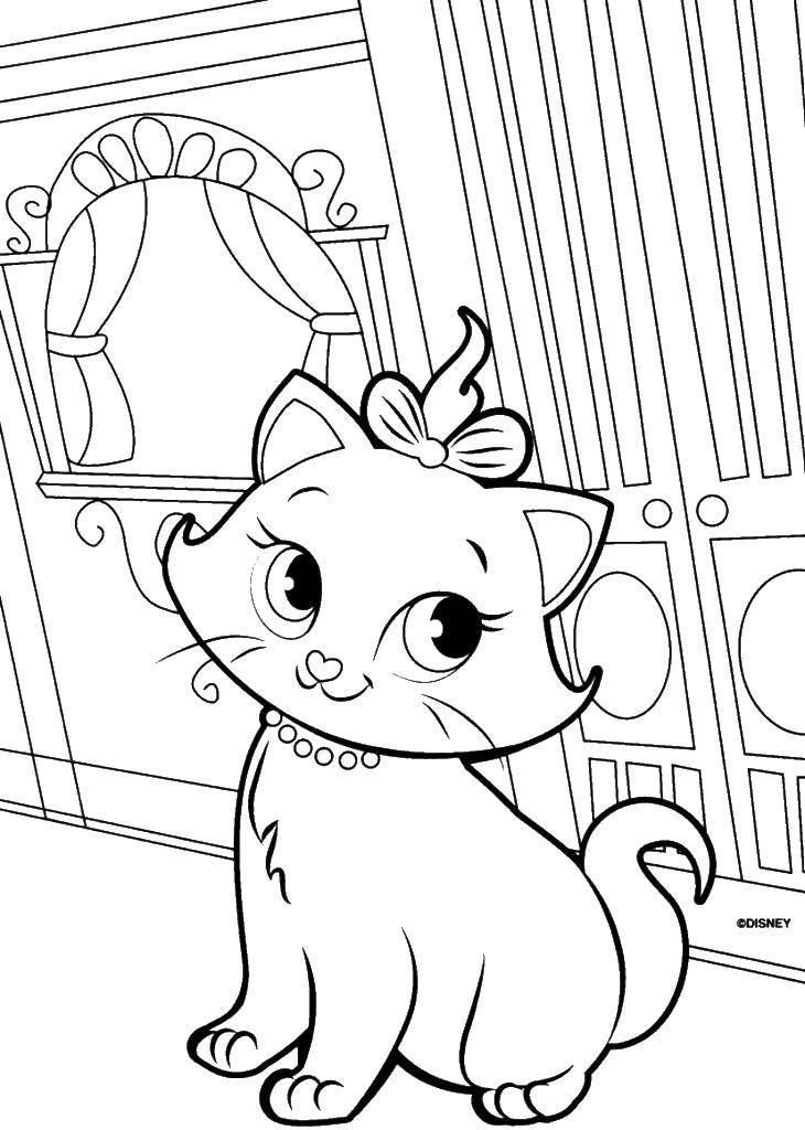 Раскраска Красавица кошечка Скачать ,коты, котята, кошки,.  Распечатать 