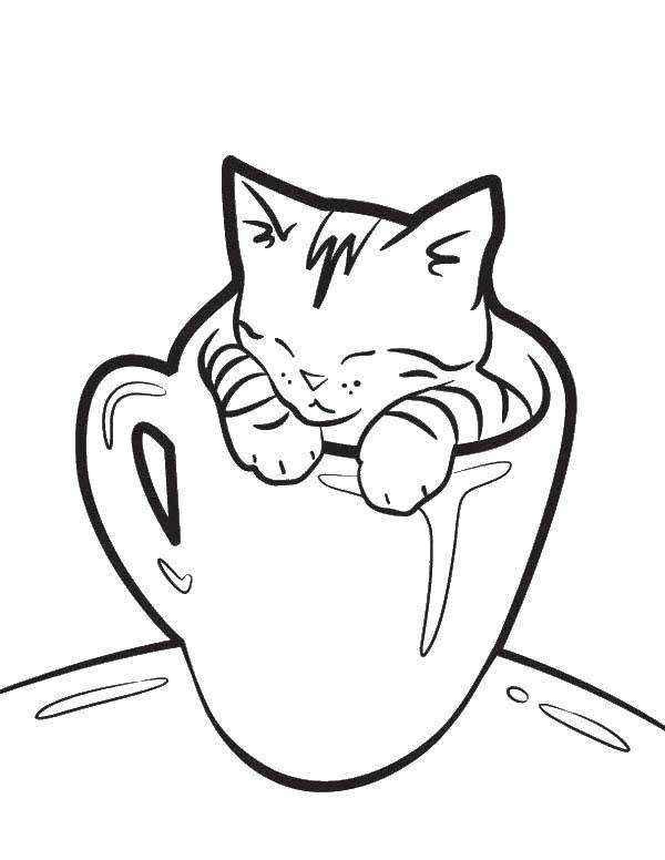 Раскраска Коты и котята Скачать ,коты, котята, кошки,.  Распечатать 