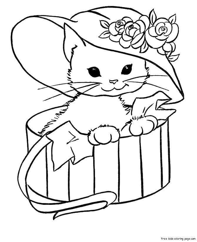 Раскраска Котик в подарок Скачать ,Животные, котёнок,.  Распечатать 