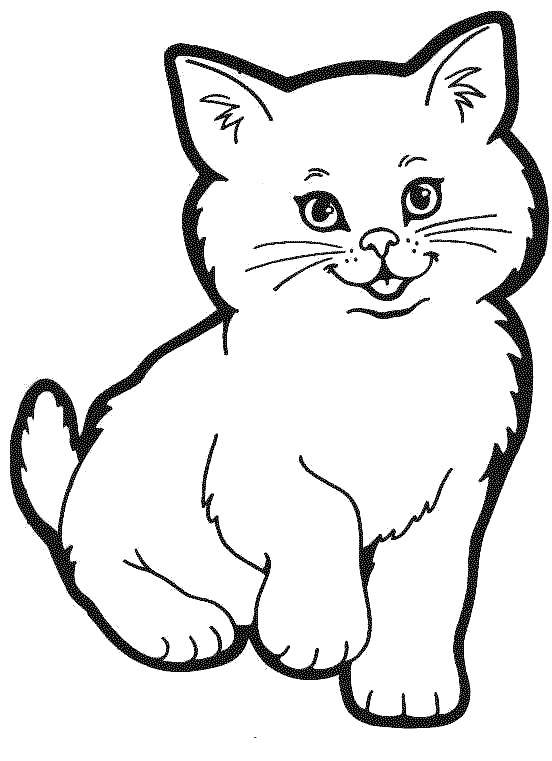 Раскраска Милый кот Скачать ,Животные, котёнок,.  Распечатать 
