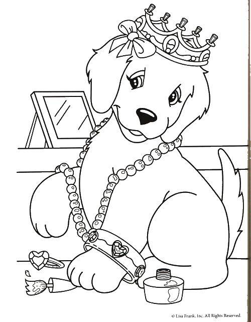 Название: Раскраска Красотка собачка. Категория: домашние животные. Теги: Животные, собака.