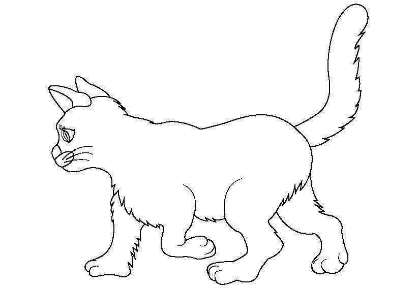 Раскраска Рисунок кота Скачать ,кошка,кот,.  Распечатать 