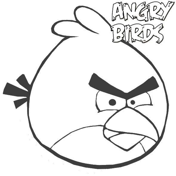 Раскраска Круглая птичка из angry birds Скачать ,angry birds, птица,.  Распечатать 