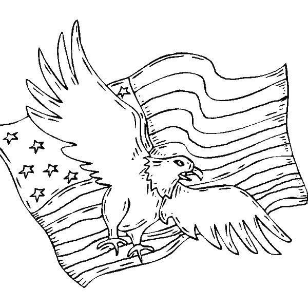 Раскраска Орел и американский флаг Скачать ,флаг, США, Америка, орел,.  Распечатать 