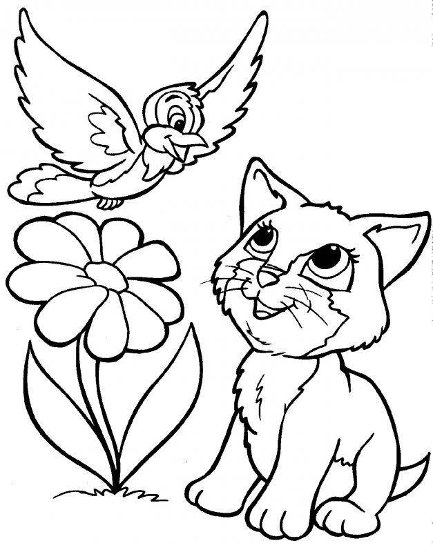 Раскраска Рисунок котенок и птичка Скачать ,кошка,кот,.  Распечатать 