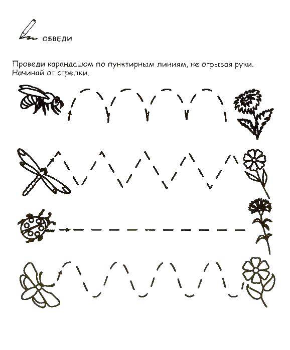 Раскраска Насекомые и цветы Скачать ,цветы, насекомые,.  Распечатать 