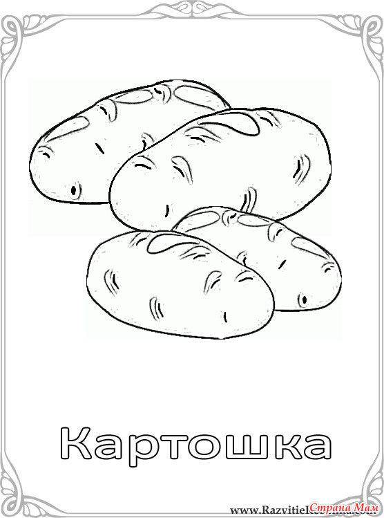 Раскраска Картошка Скачать ,картофель,.  Распечатать 