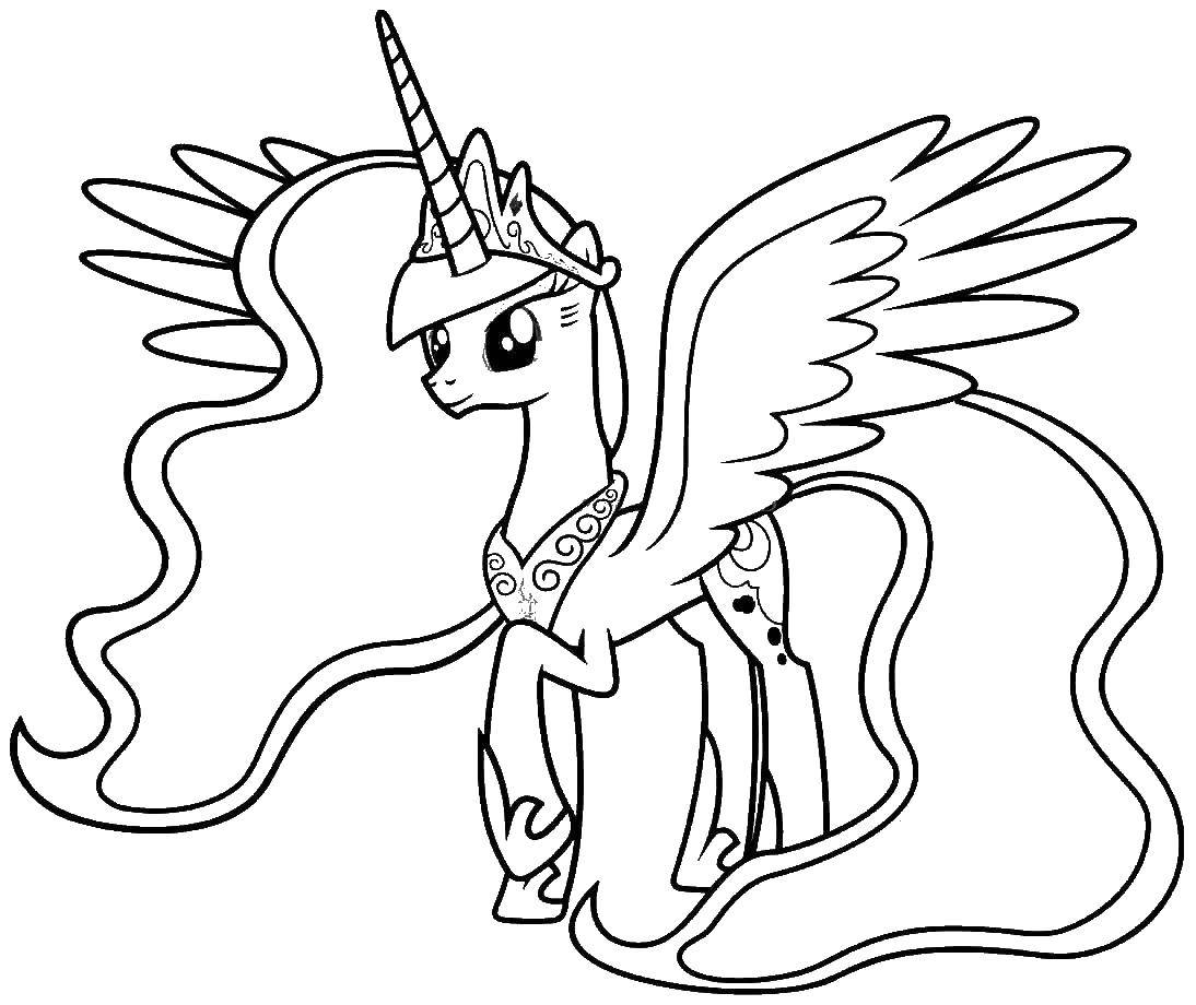 Название: Раскраска Пони из my little pony. Категория: Пони. Теги: Пони, "My little pony".