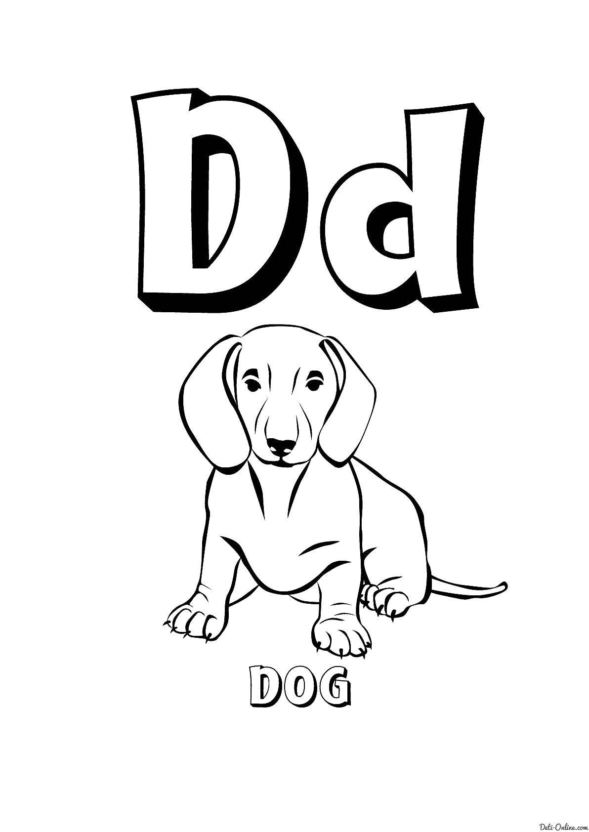 Раскраска Letter d Скачать ,letter D, dog,.  Распечатать 