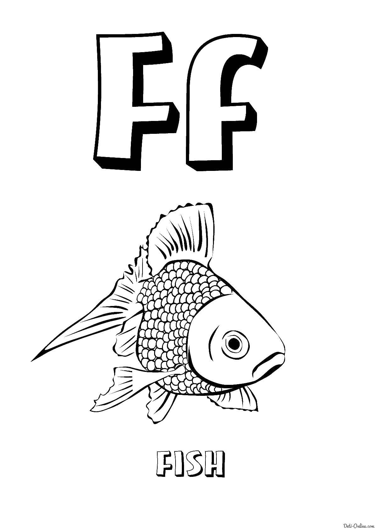 Раскраска Letter f Скачать ,letter F, fish,.  Распечатать 