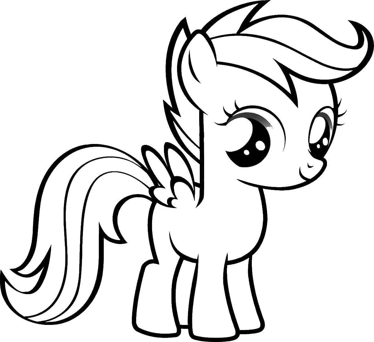 Название: Раскраска Малышка - пони. Категория: Пони. Теги: Пони, "My little pony".