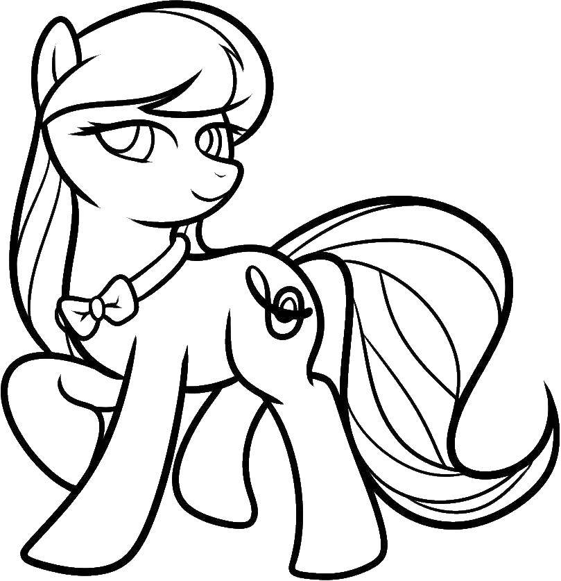 Название: Раскраска Пони из my little pony. Категория: Пони. Теги: Пони, "My little pony".