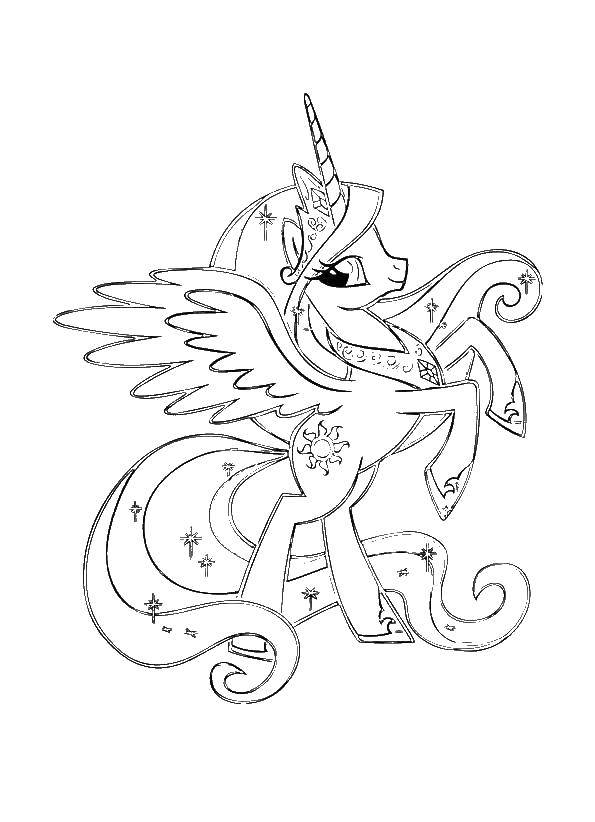 Название: Раскраска Пони из my little pony. Категория: Пони. Теги: Пони, "My little pony".