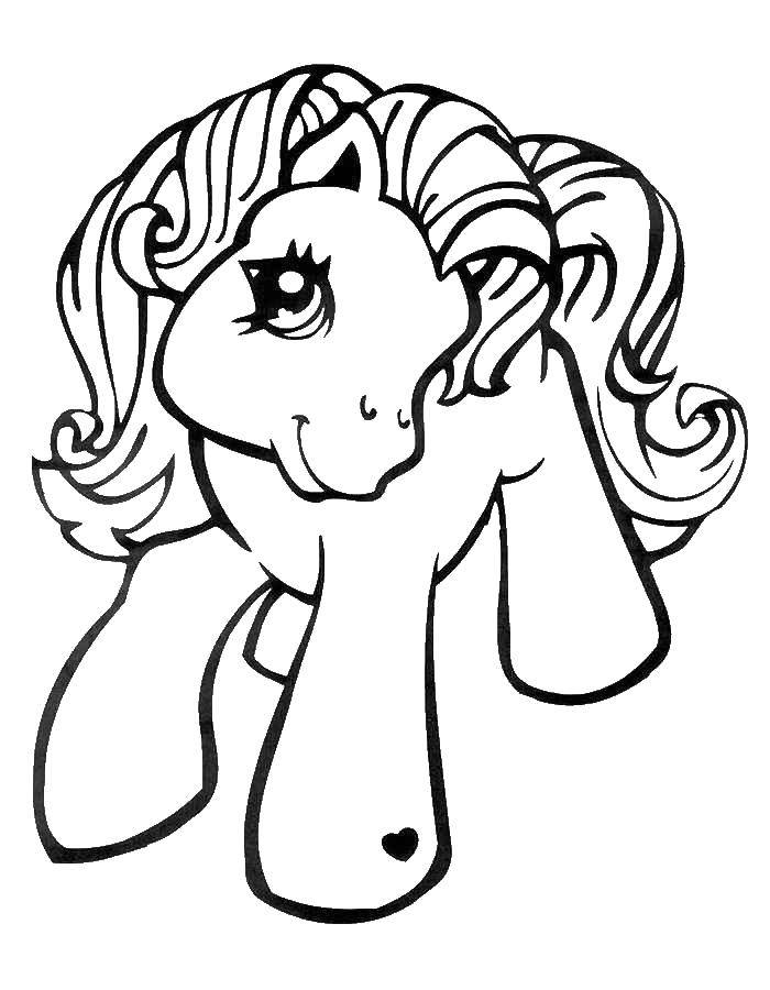 Название: Раскраска Пони из my little pony. Категория: Пони. Теги: Пони, "My little pony".