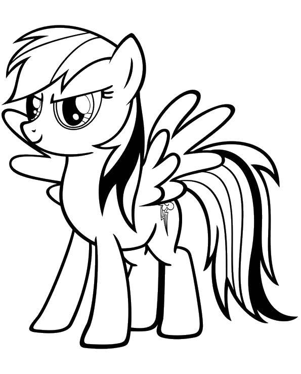 Раскраска Пони из my little pony Скачать ,Пони, "My little pony",.  Распечатать 