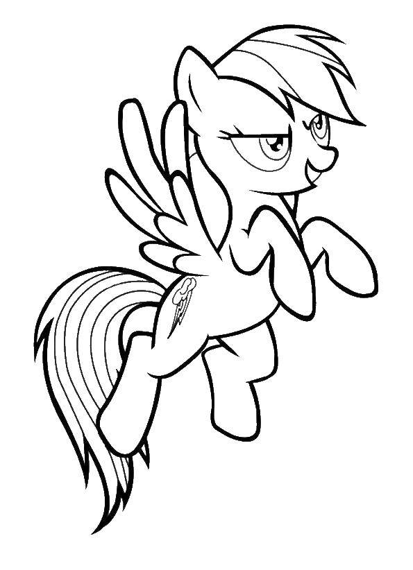 Раскраска Смелая пони Скачать ,Пони, "My little pony",.  Распечатать 