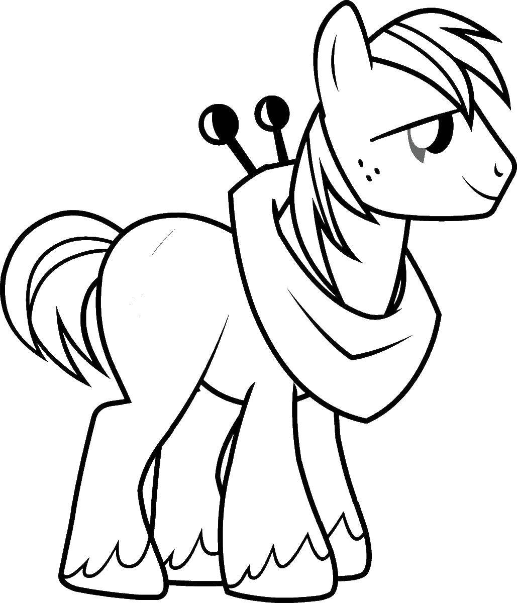 Раскраска Лошадка Скачать ,Пони, "My little pony",.  Распечатать 