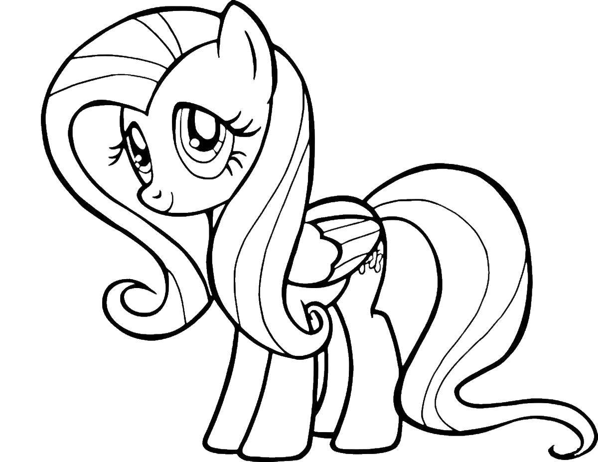 Название: Раскраска Пони из my little pony. Категория: Пони. Теги: Пони, "My little pony".