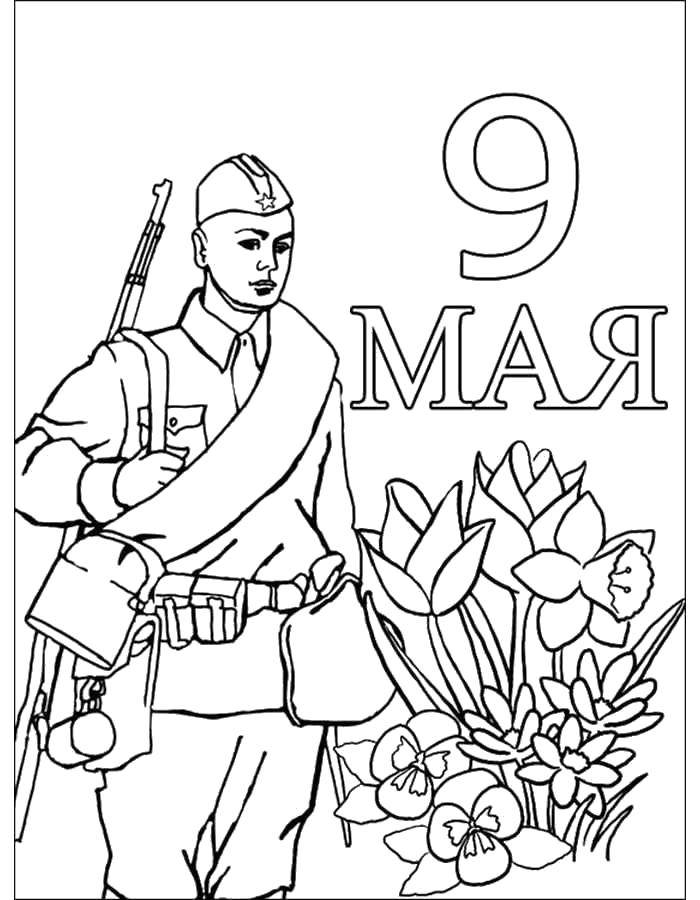 Раскраска Открытка на 9 мая Скачать ,Поздравление, 9 мая, День Победы,.  Распечатать 