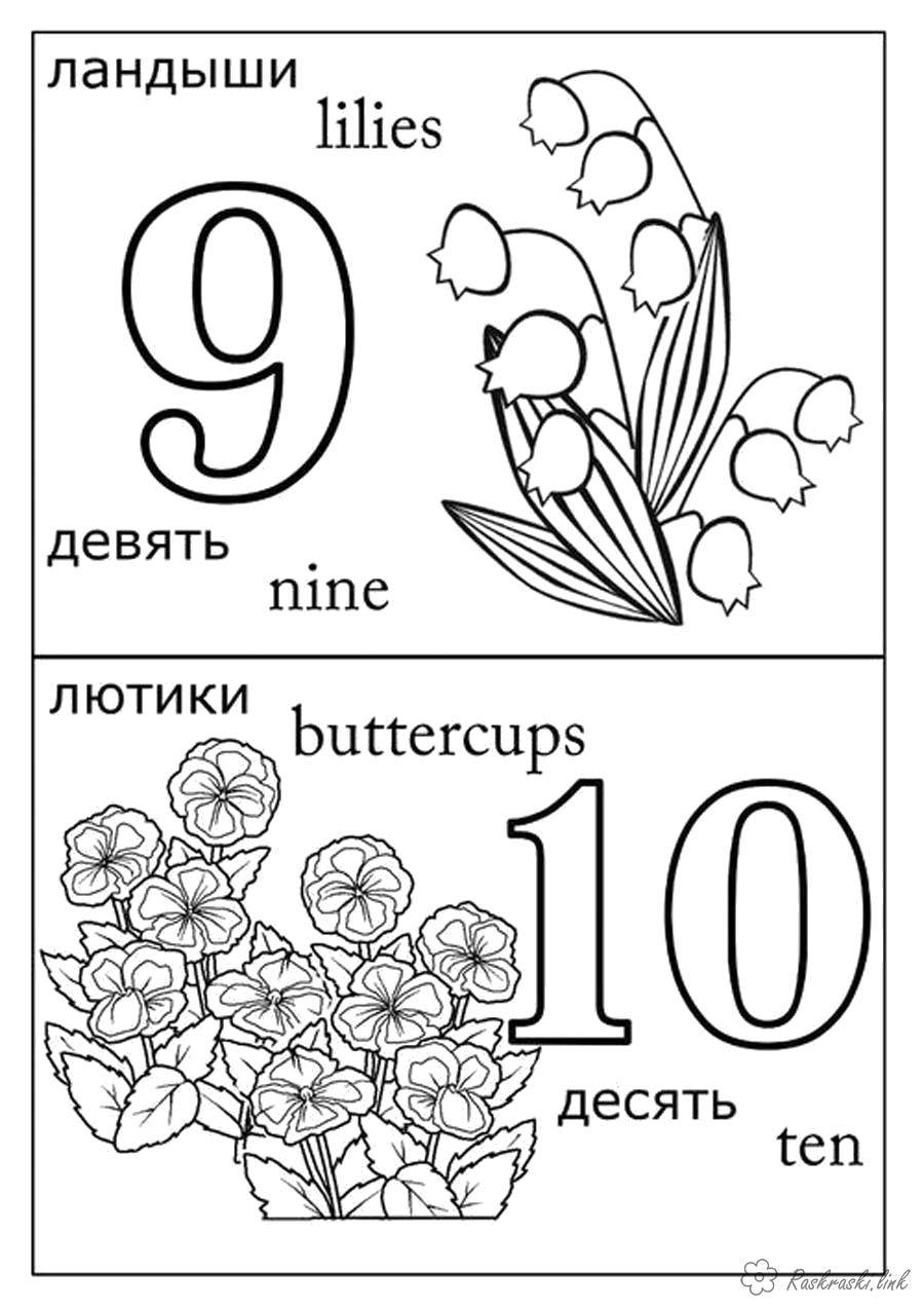 Раскраска Счёт на английском Скачать ,Цифры, счёт, числа,.  Распечатать 