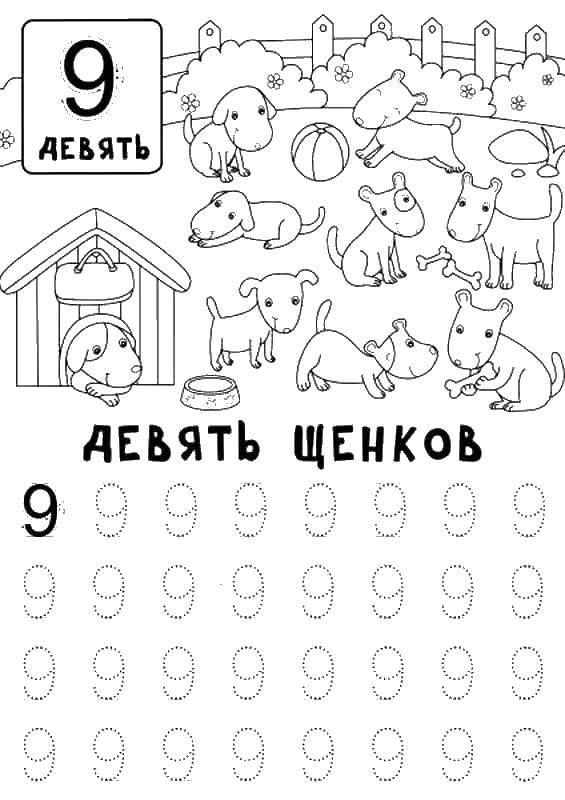 Раскраска Учимся писать цифру 9 Скачать ,Цифры, счёт, числа,.  Распечатать 