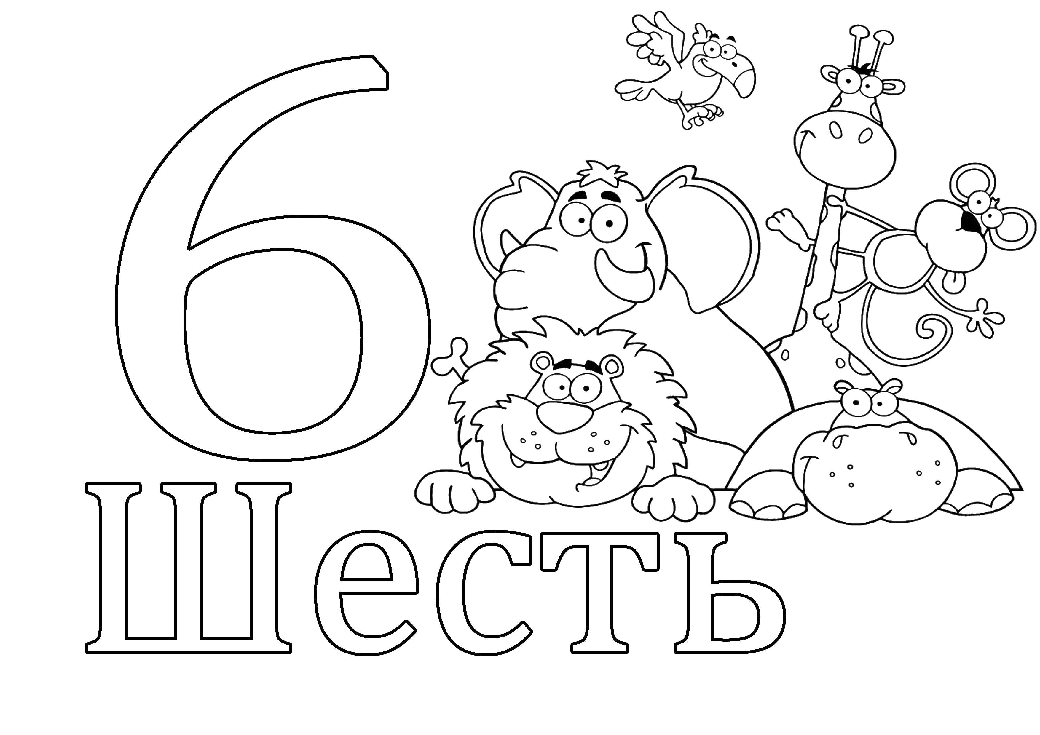 Название: Раскраска Цифра 6. Категория: раскраски цифры. Теги: Цифры, счёт, числа.