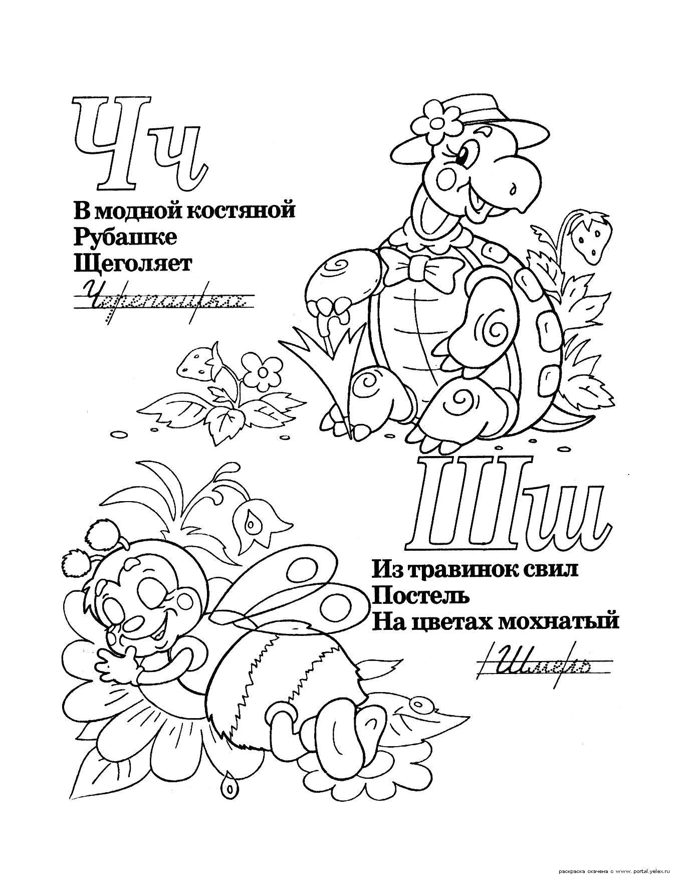Название: Раскраска Учимся прописным буквам. Категория: азбука. Теги: Алфавит, буквы, слова.