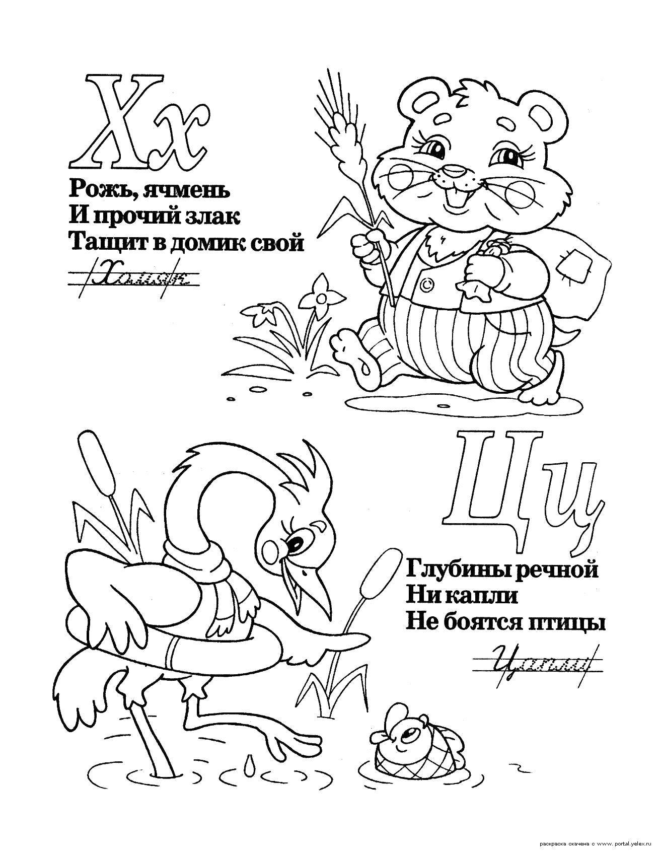 Название: Раскраска Учимся прописным буквам. Категория: азбука. Теги: Алфавит, буквы, слова.