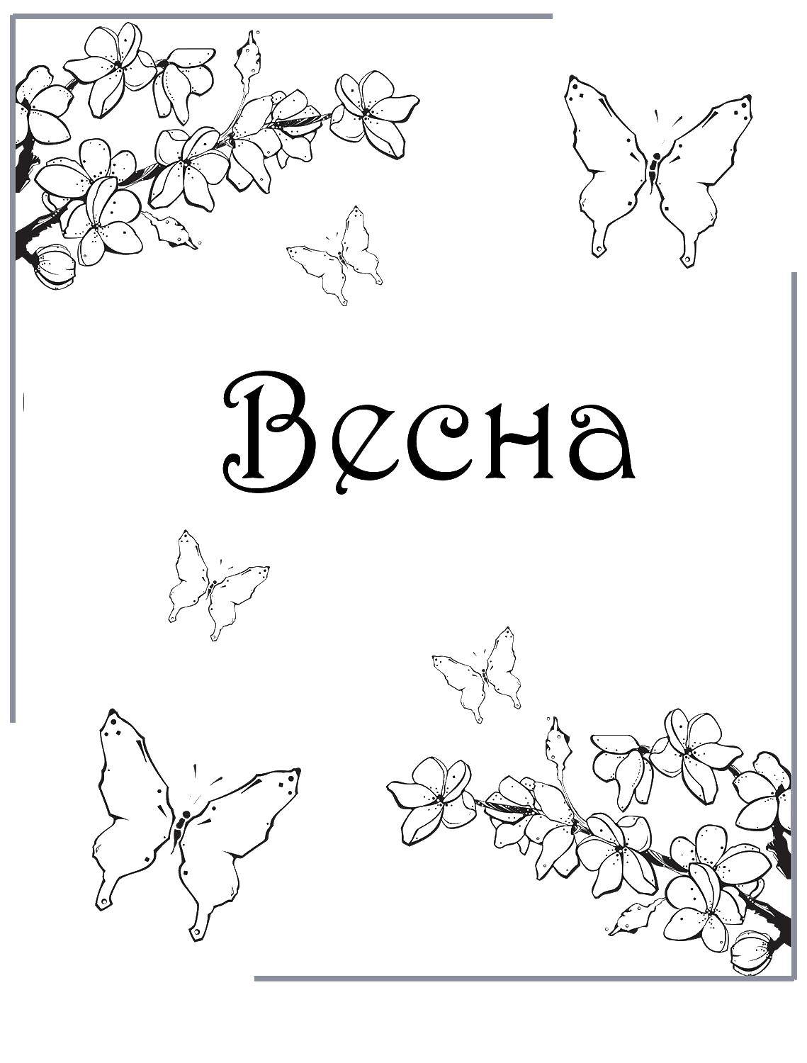 Раскраска Открытка с бабочкой Скачать ,цветы,бабочка,.  Распечатать 