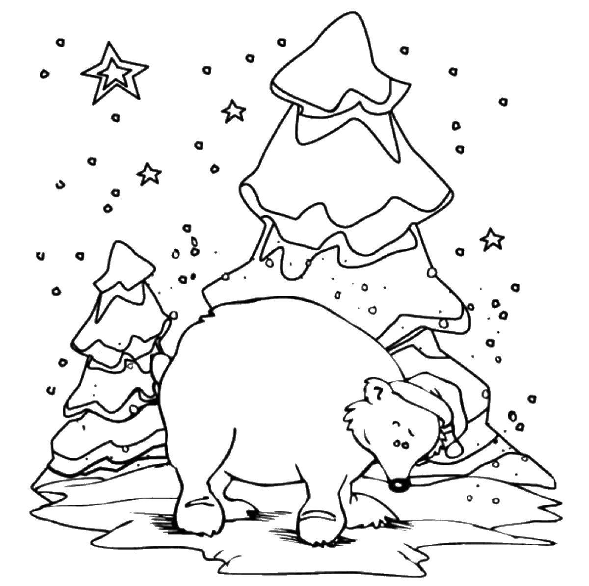 Название: Раскраска Мишка зимой перед елкой. Категория: Животные. Теги: мишка.