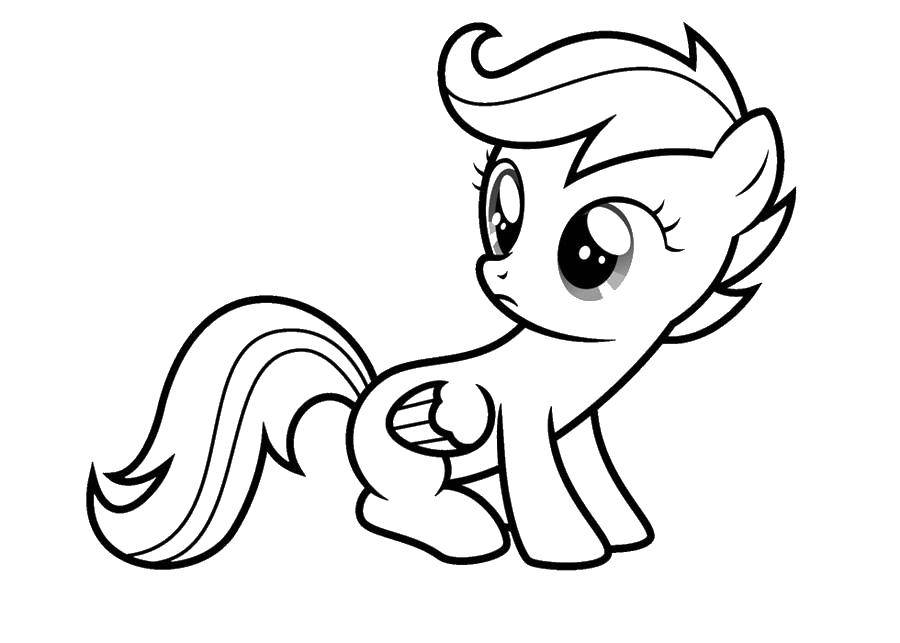 Раскраска Пони из my little pony Скачать ,Пони, "My little pony",.  Распечатать 