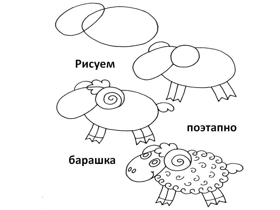 Название: Раскраска Поэтапно рисуем барашка. Категория: как нарисовать поэтапно животных. Теги: Животные, барашек.