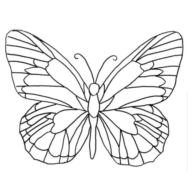 Раскраска Разукрась крылья бабочки Скачать ,Бабочка,.  Распечатать 