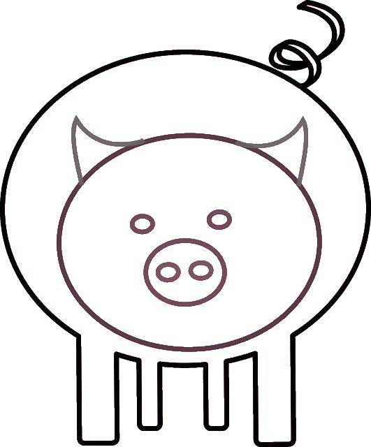 Название: Раскраска Свинья. Категория: домашние животные. Теги: свинья.
