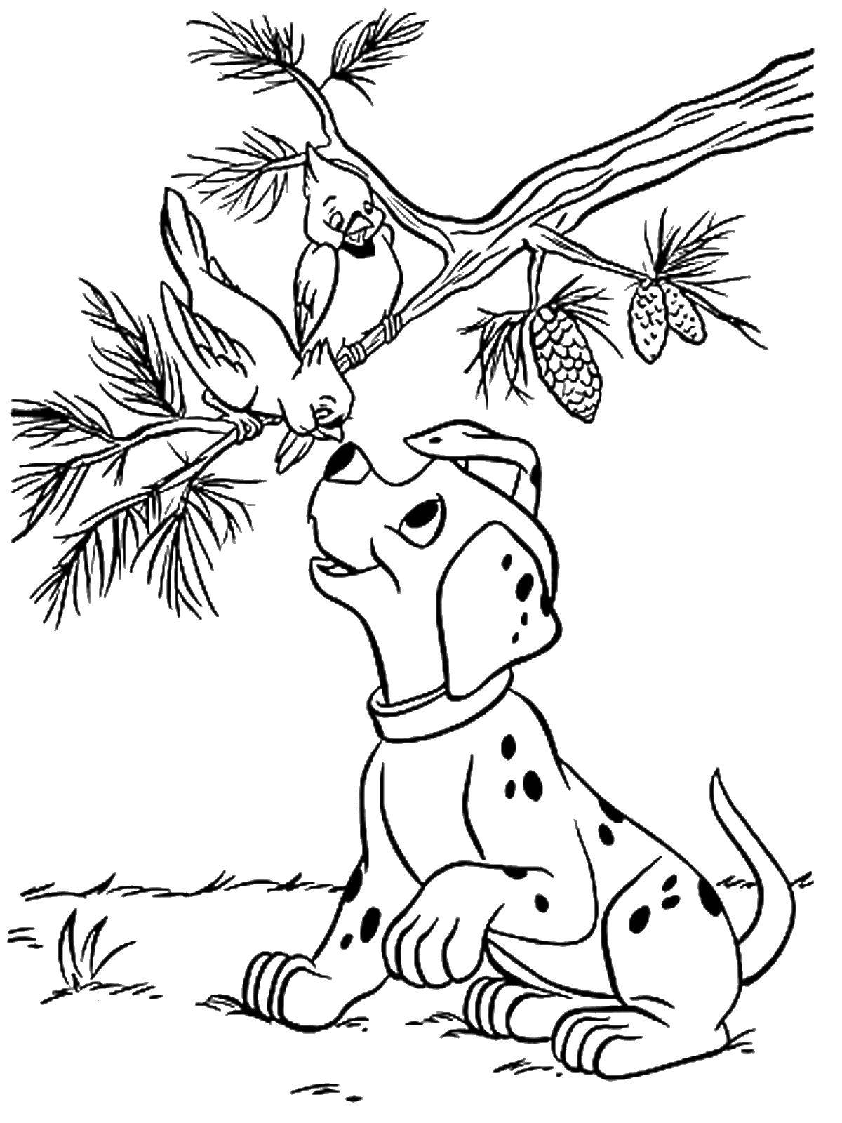 Название: Раскраска Далматинец ловит птичку. Категория: 101 далматинец. Теги: 101, далматинцы.