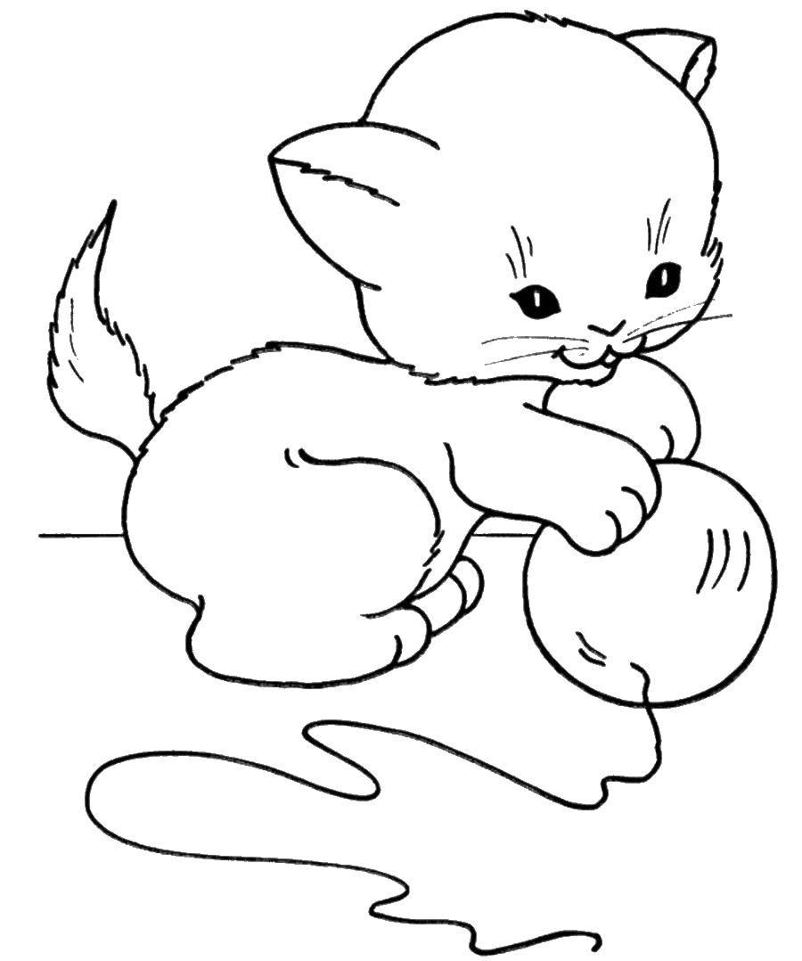 Раскраска Кошка играет с клубком Скачать ,кошка, кот,.  Распечатать 