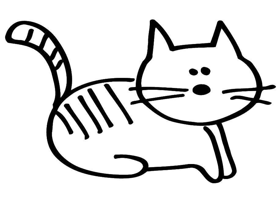 Раскраска Кошка Скачать ,кошка, кот,.  Распечатать 