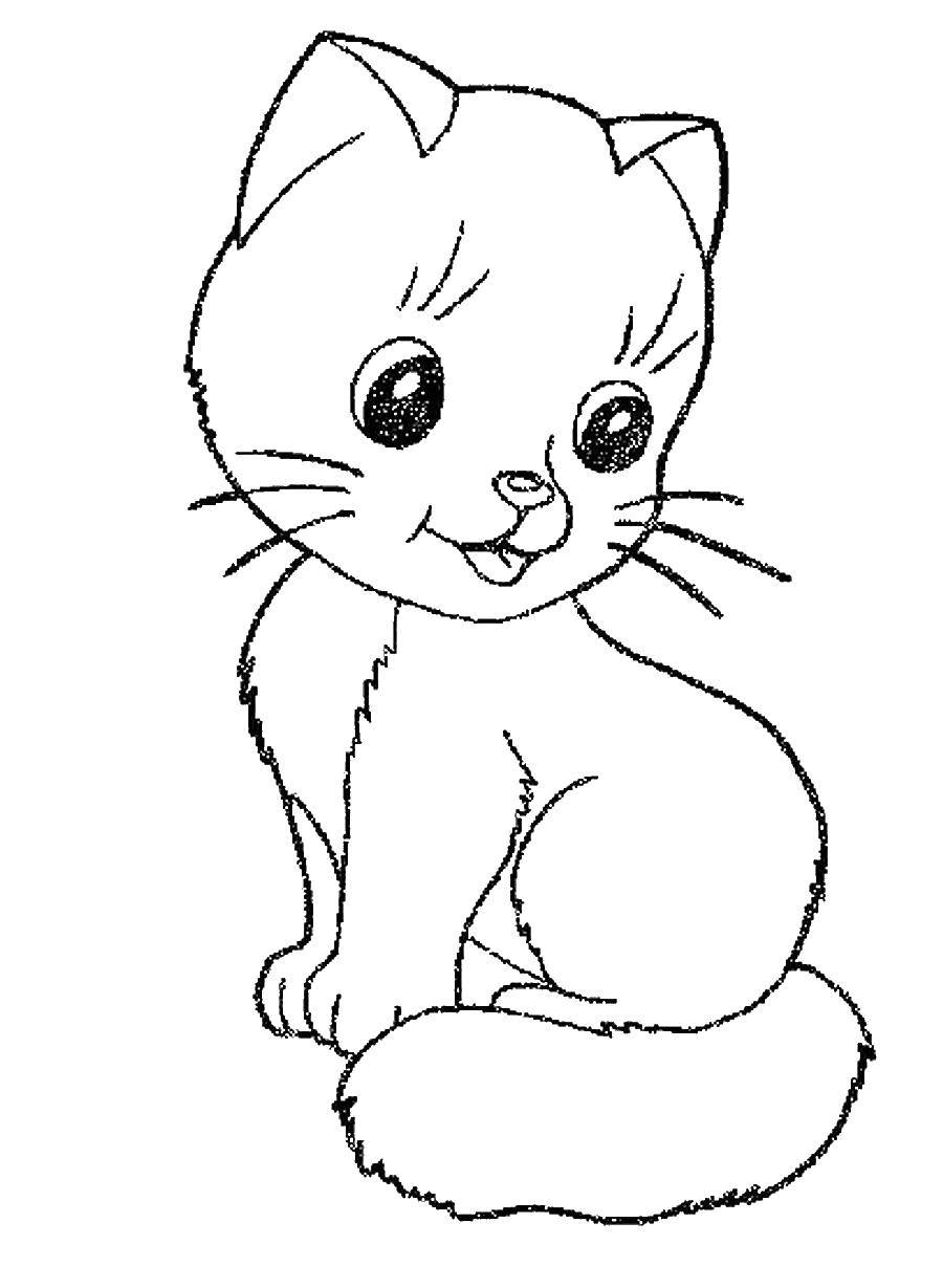 Раскраска Кошка Скачать ,кошка, кот,.  Распечатать 
