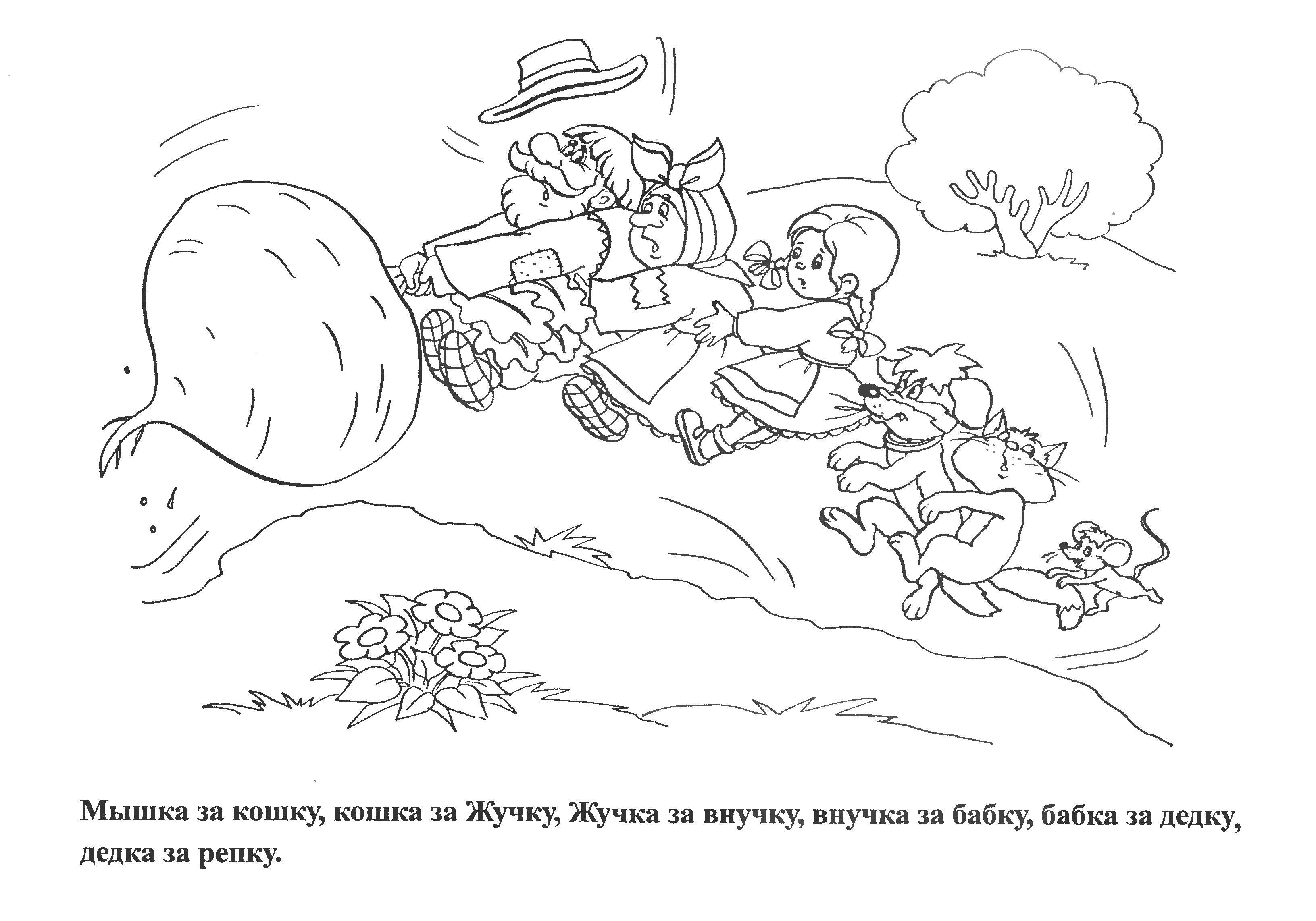Раскраска Вытянули репку! Скачать ,Сказки, Репка ,.  Распечатать 