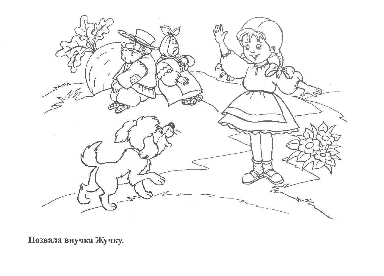 Название: Раскраска Позвала внучка жучку. Категория: репка. Теги: Сказки, Репка .