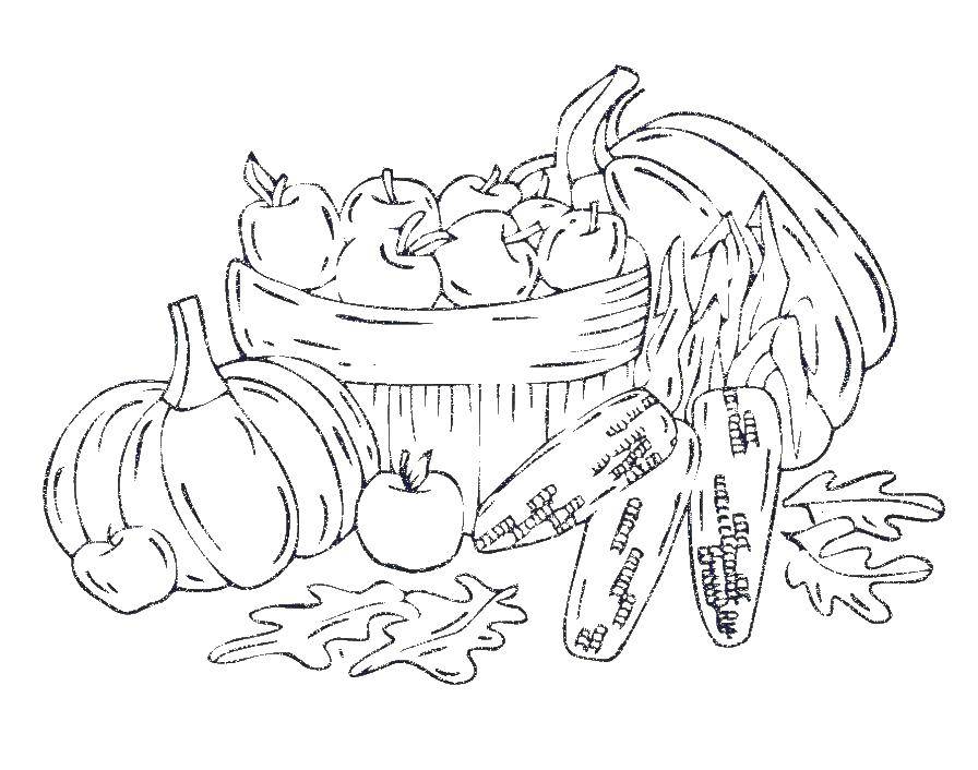 Раскраска Осенний урожай Скачать ,уражай, овощи,.  Распечатать 