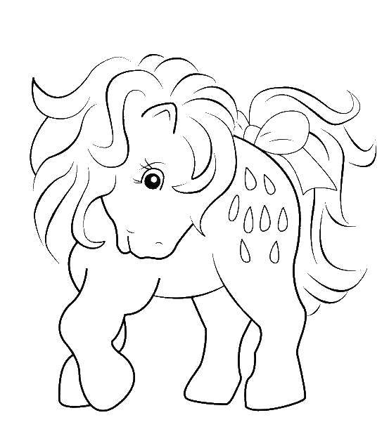 Название: Раскраска Пони из my little pony . Категория: Пони. Теги: Пони, My little pony .