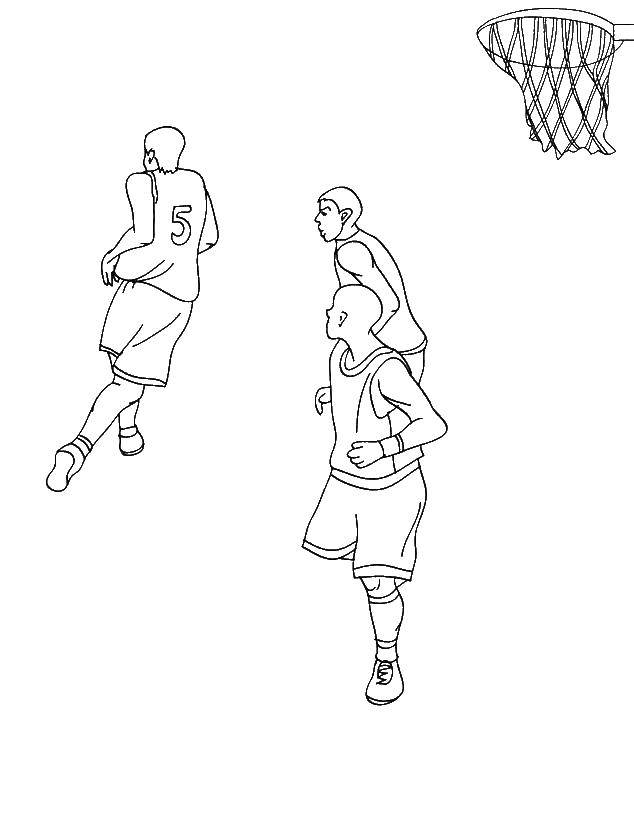 Раскраска Баскетболисты Скачать ,баскетбол, мяч,.  Распечатать 