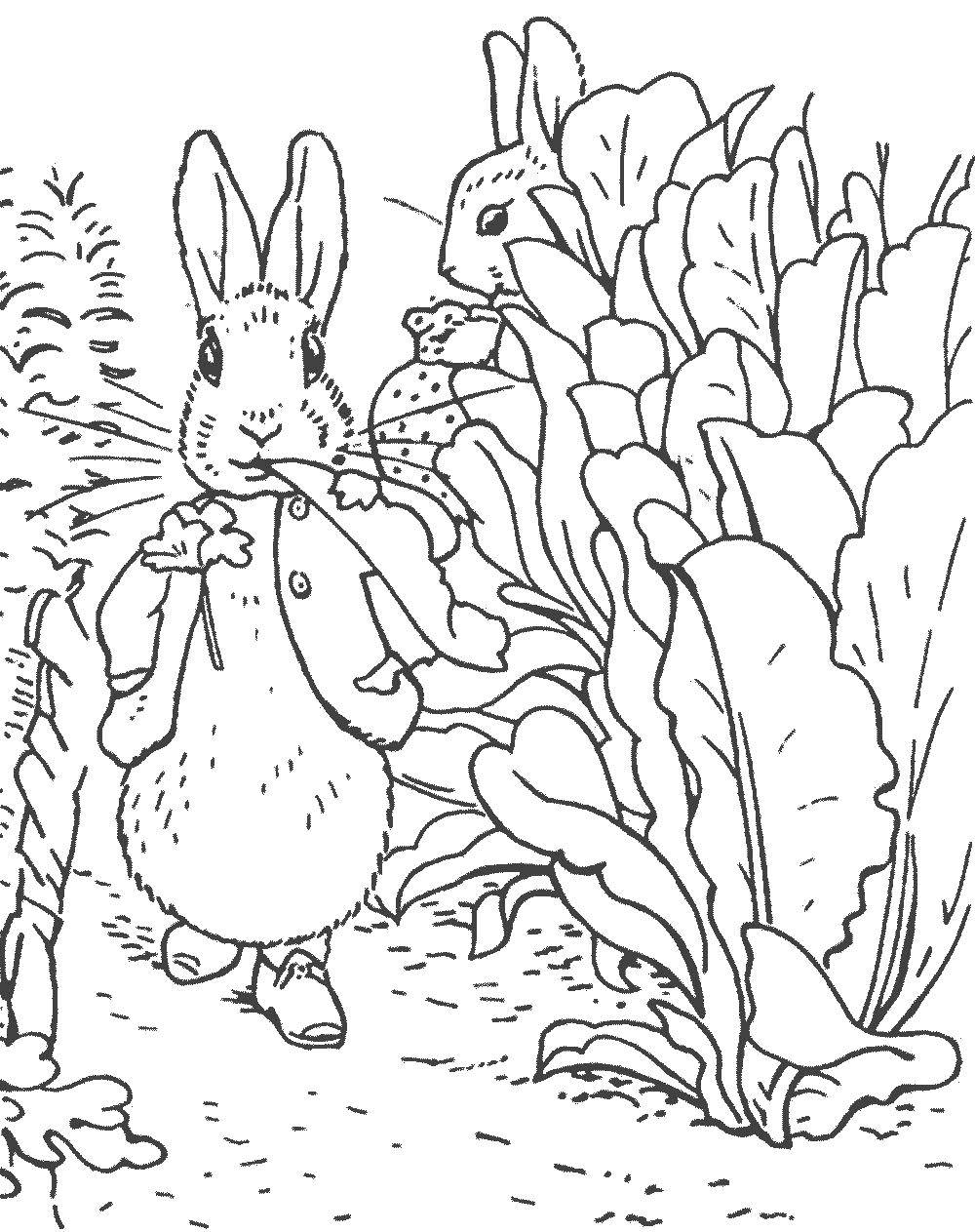 Раскраска Персонаж из мультфильма Скачать .  Распечатать 