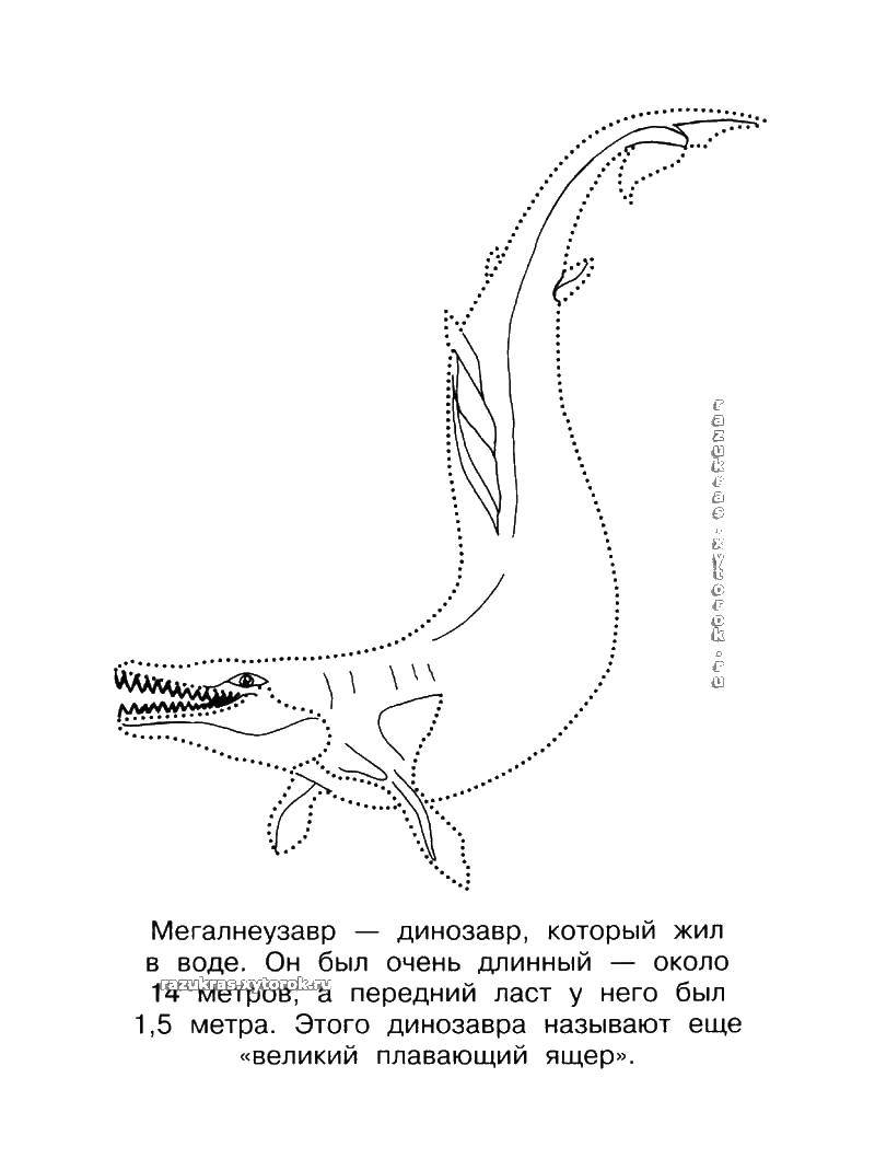 Раскраска Мегалнеузавр Скачать ,мегалнеузавр,.  Распечатать 