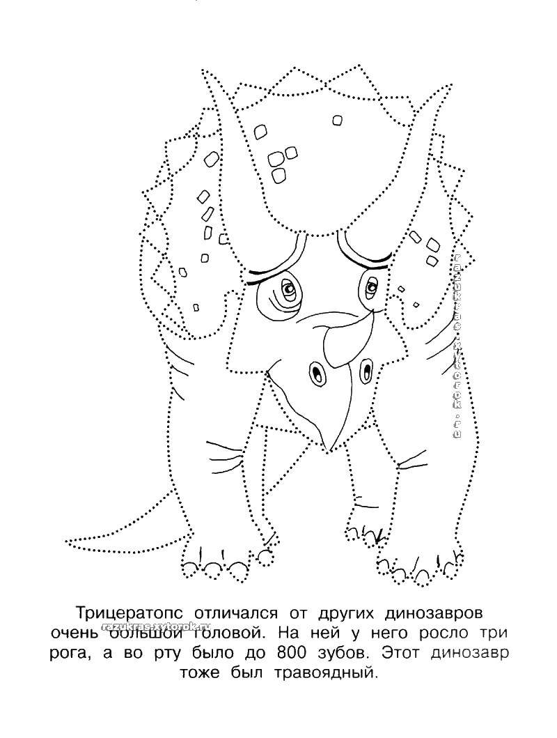 Название: Раскраска Трицераптор. Категория: Контуры динозавров. Теги: трицераптор, динозавр.