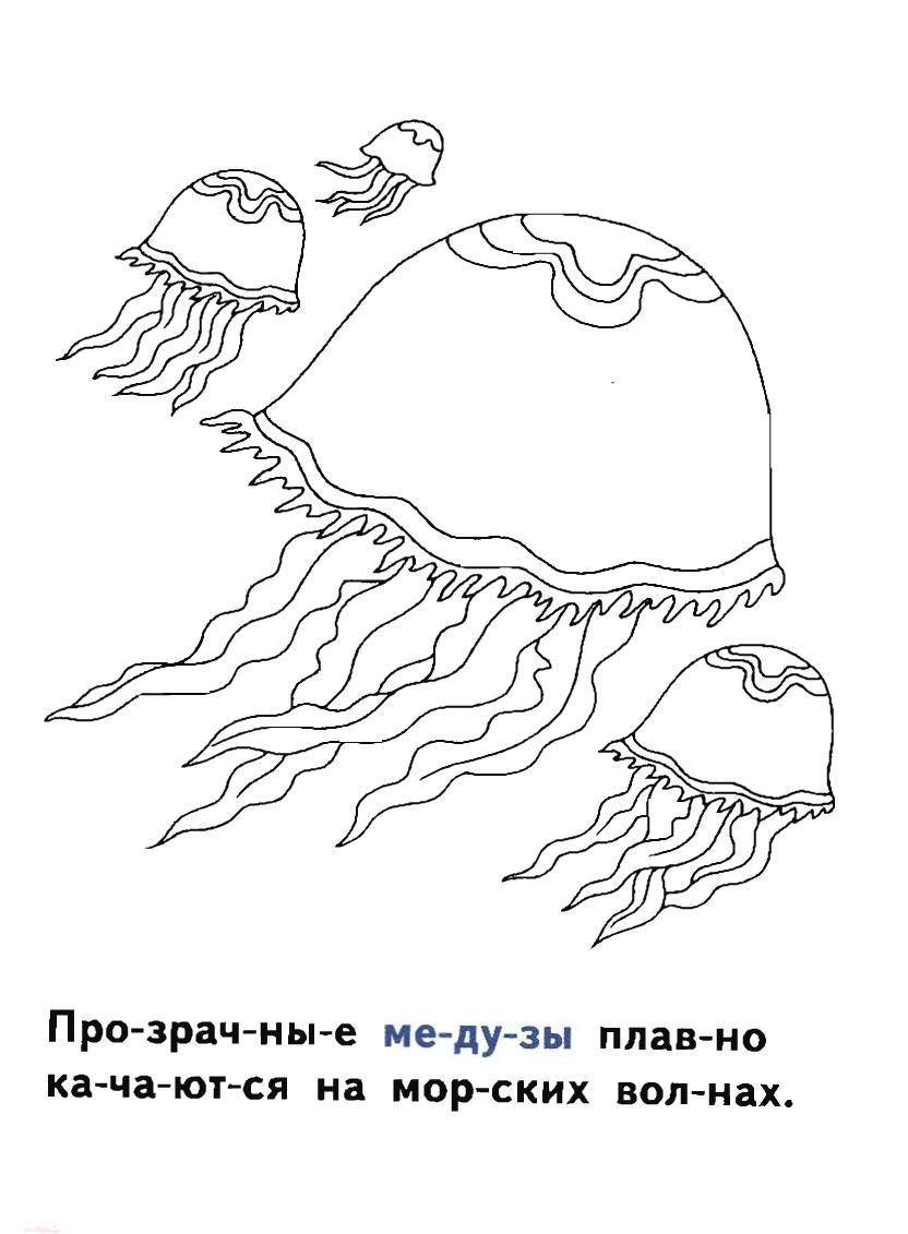 Раскраска Медузы Скачать ,Подводный мир, медуза,.  Распечатать 